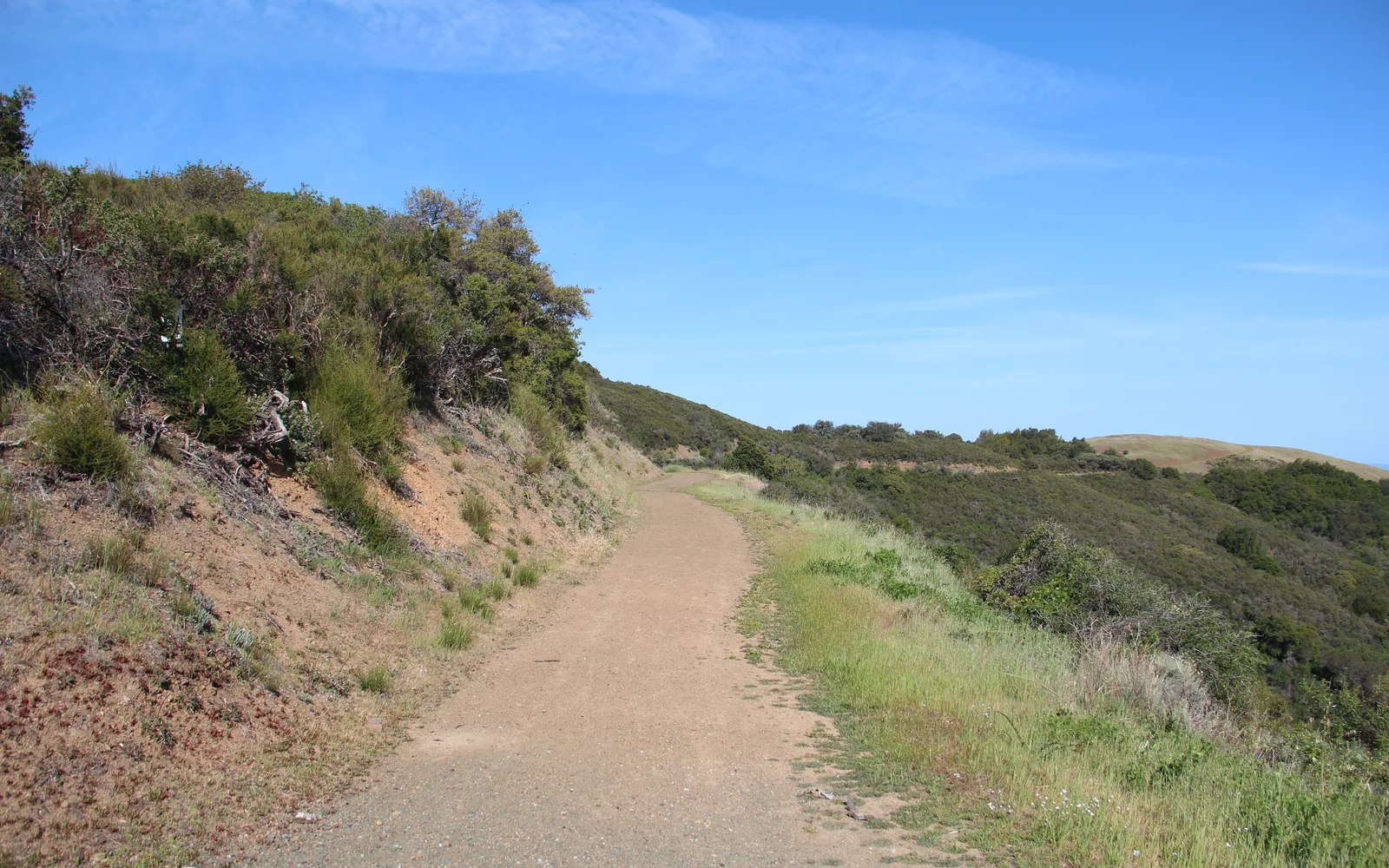 Hiking trail through oak and grassland habitat in Sierra Azul Open Space Preserve, with distant ridges and blue sky