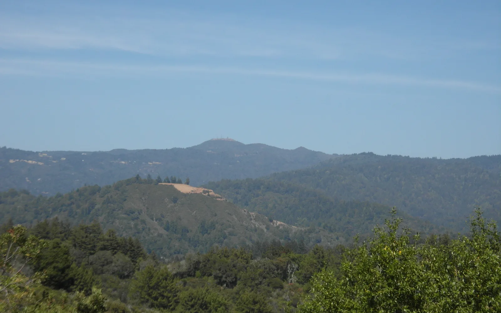 Mount Loma Prieta peak and ridge line viewed from the foothills, with low vegetation in the foreground